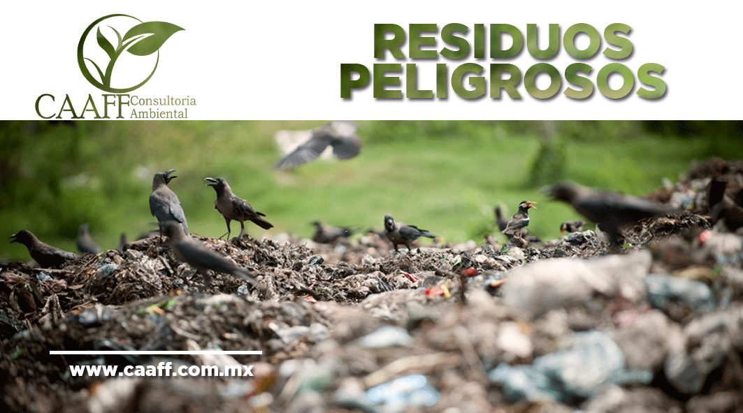 Consultoria Ambiental