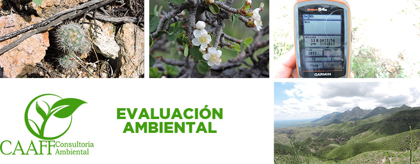 estudios ambientales